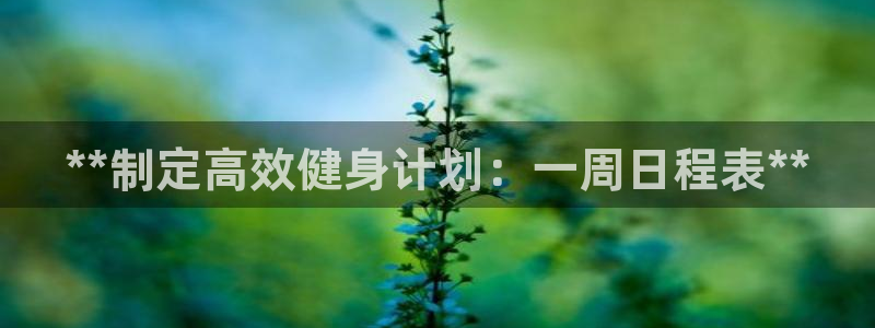 意昂2官方平台