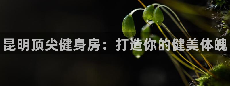 意昂2招商