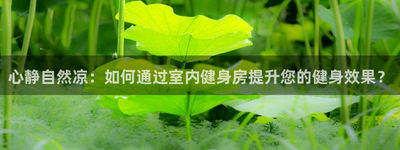 意昂2代理
