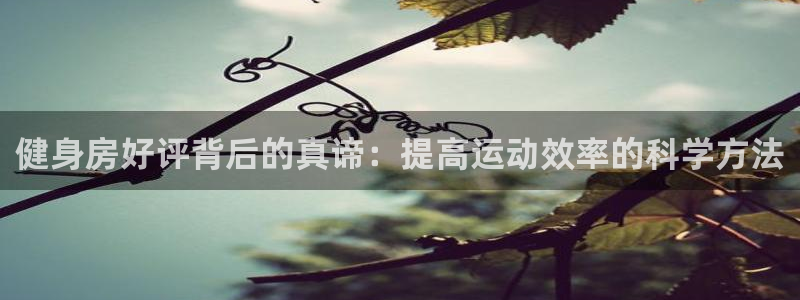 意昂2官网