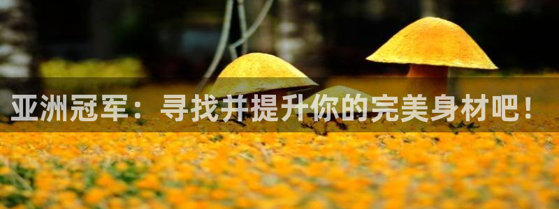 意昂2招商