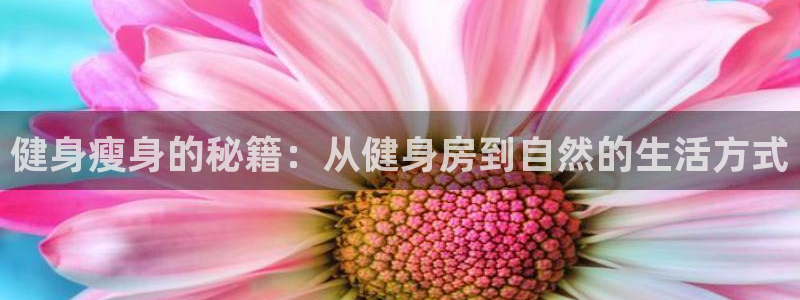 意昂2官网